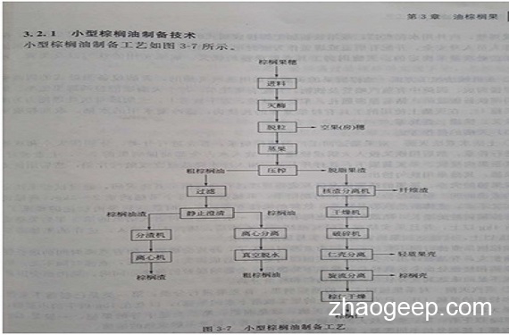 兆格分享：液壓榨油機在制取棕櫚油的應(yīng)用